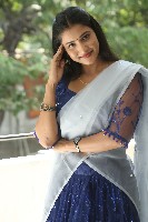 Pallavi Pictures